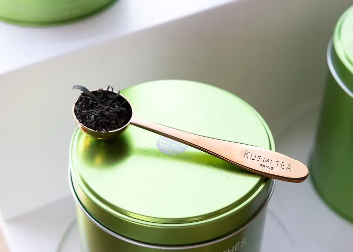 Ibis Sud Saint Charles Περπινιάν